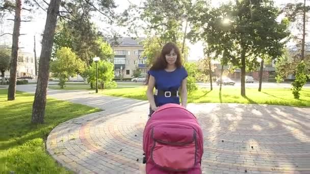 Bela jovem mãe andando com carrinho de bebê, férias em família em um dia de folga no parque no verão — Vídeo de Stock
