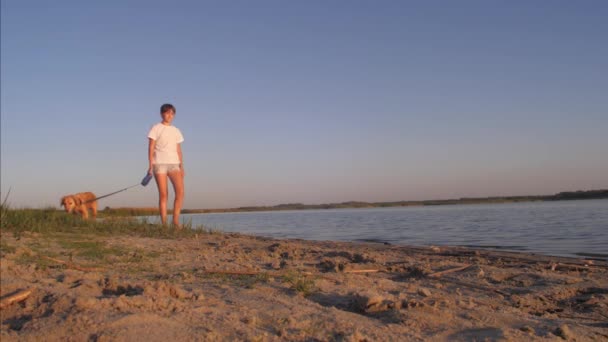 Flicka gå hennes hund på koppel på stranden på bakgrund av blå himmel, Slow motion — Stockvideo