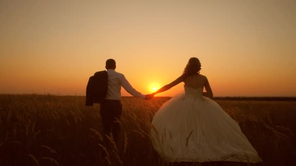 Noivo e noiva estão correndo através do campo para um belo pôr do sol, tiro em câmera lenta — Vídeo de Stock