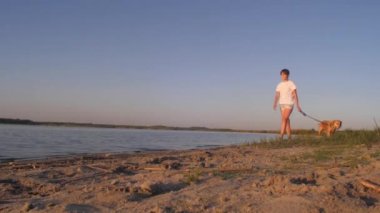 Kız yürüyen köpek üstünde kira kontratı Mavi Göl karşı sahilde