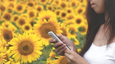 Kız bir smartphone posta, kırsal kesimde ayçiçeği tarlası ile bir yaz tur bir mektup okuma