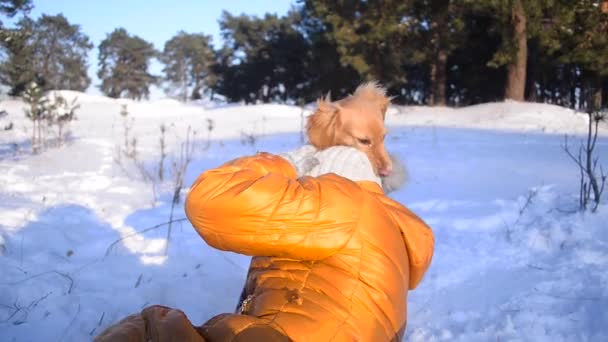 Девушка весело играет с собакой в зимнем снежном парке, собака украла шляпу с веселыми девушками, солнечный морозный день . — стоковое видео