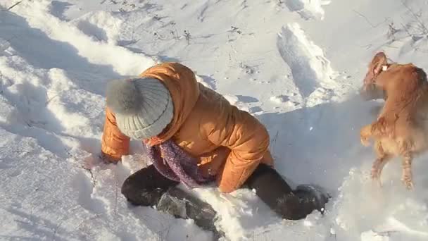 Chica divirtiéndose jugando con el perro en el parque de nieve de invierno, día helado soleado — Vídeos de Stock