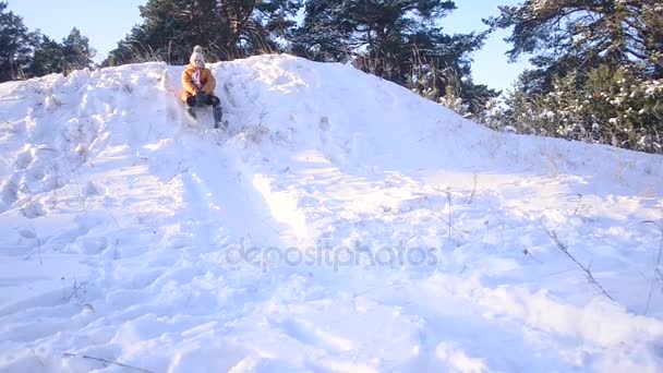 Jeune fille traîneau d'une colline dans le snowpark d'hiver, un chien jouant avec une belle fille, une journée d'hiver ensoleillée dans la forêt enneigée . — Video