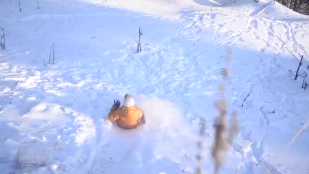 Teen κορίτσι με έλκηθρο από ένα λόφο στο πάρκο χιονιού το χειμώνα, ένας σκύλος που παίζει με ένα χαρούμενο κορίτσι, βίντεο γυρίσματα σε κίνηση. — Αρχείο Βίντεο