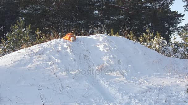 Veselá dívka na koni s snow slide, Slunečné zimní mrazivý den rodinnou dovolenou na Vánoce — Stock video