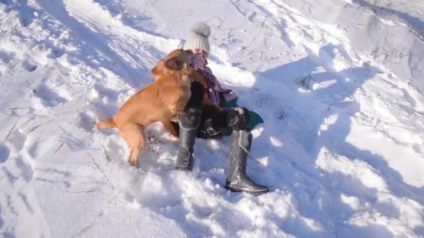 Uma menina se divertindo brincando com o cão no parque de neve de inverno, menina adolescente e cão deitado na neve, dia gelado ensolarado . — Vídeo de Stock