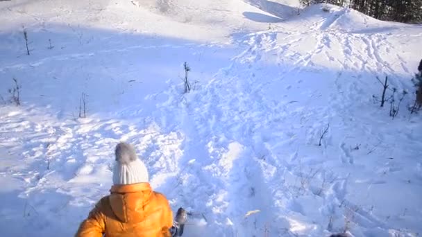 Девочка-подросток, катающаяся на санках с холма в зимнем снежном парке, собака, играющая с веселой девушкой, видео съемка на ходу . — стоковое видео