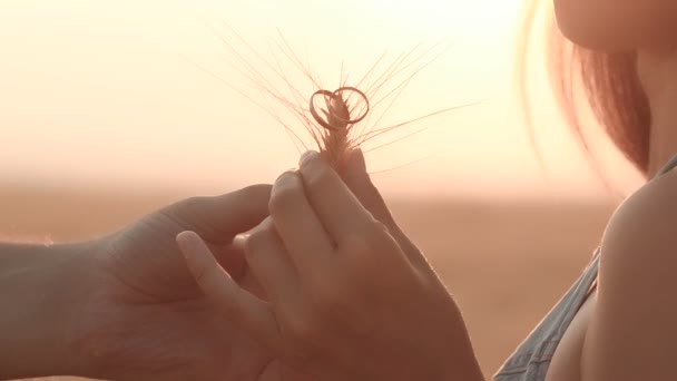 Anillos de oro como regalo a la novia, puesta de sol — Vídeos de Stock