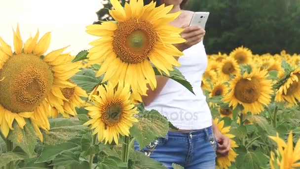 Chica agrónoma envía informe fotográfico por teléfono inteligente en un campo de girasoles, estimación de la cosecha de girasol — Vídeo de stock