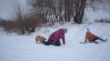 Köpek sahibi ayak sürüyor, onunla çalış ve onu karlı Dağı'nda binicilik engeller.