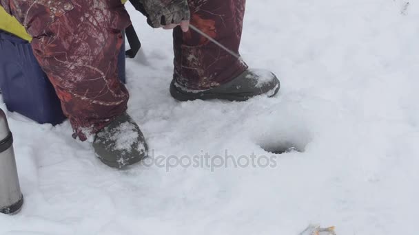 Man on winter fishing with fishing rod in hand, fresh fish lying on ice — Stock Video