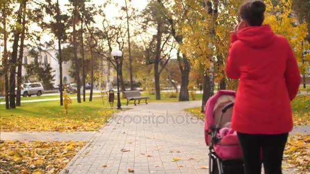 Γυναίκα με καροτσάκι με το παιδί, το περπάτημα κατά μήκος το δρόμο, στο πάρκο το φθινόπωρο το μεσημέρι. Αργή κίνηση. — Αρχείο Βίντεο