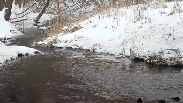 Il torrente scorre nello snowpark . — Video Stock