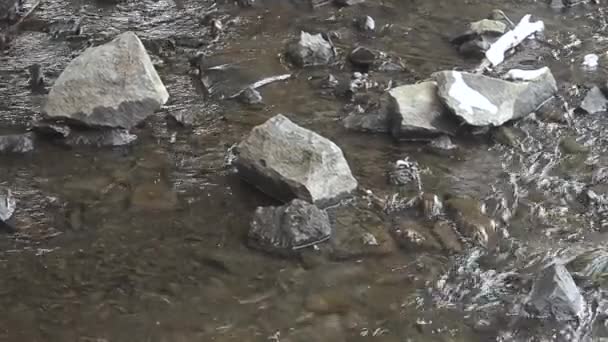 Fluye arroyo primaveral en montañas nevadas . — Vídeos de Stock