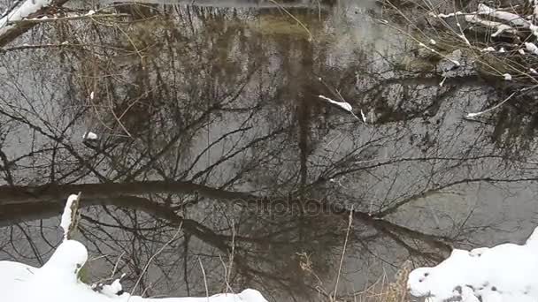Reflejo de árboles secos en el agua en el parque de invierno . — Vídeos de Stock