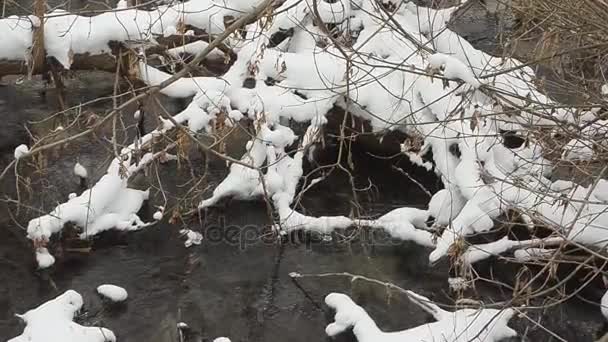 Fusión de primavera del arroyo en el parque de nieve . — Vídeo de stock