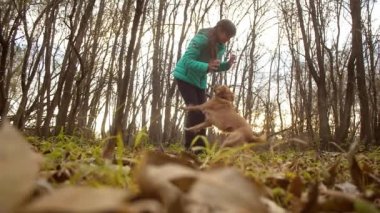 Yaka köpek sahibi bir sonbahar Park çalış. Ağır çekim.