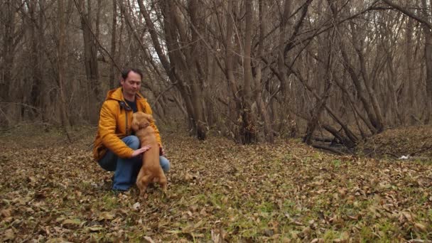 El perro de caza lame y regocija a su dueño en el parque de otoño. Movimiento lento . — Vídeos de Stock
