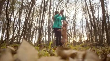 Köpek ile kız sonbahar yaprakları atıyor. Ağır çekim.