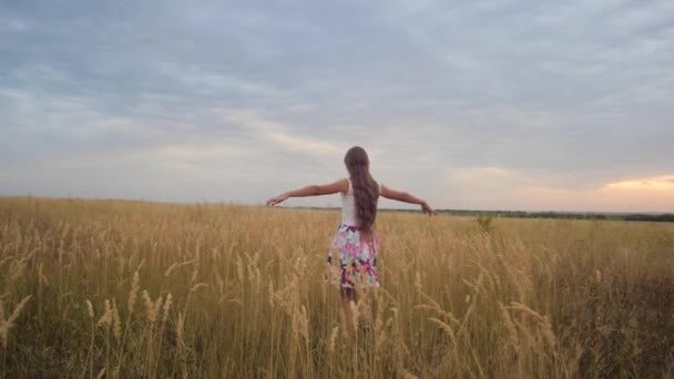 Chica es adolescente extendió sus brazos como alas y camina a través del campo. Movimiento lento . — Vídeos de Stock