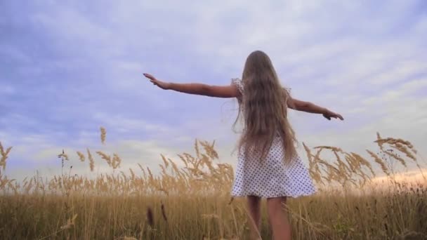 Girl is teenager, spread her arms like wings and runs across field. Slow motion. — Stock Video
