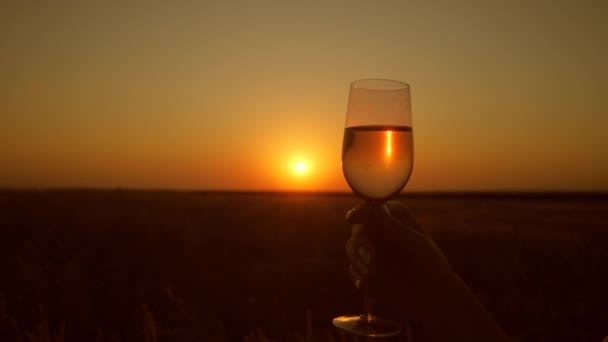 Ποτήρι αφρώδους οίνου στο χέρι του κοριτσιού ενάντια σε ένα όμορφο ηλιοβασίλεμα — Αρχείο Βίντεο
