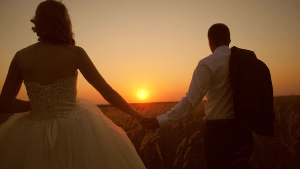 Nevěsta a ženich stojí v poli a podívejte se na krásný západ slunce — Stock video