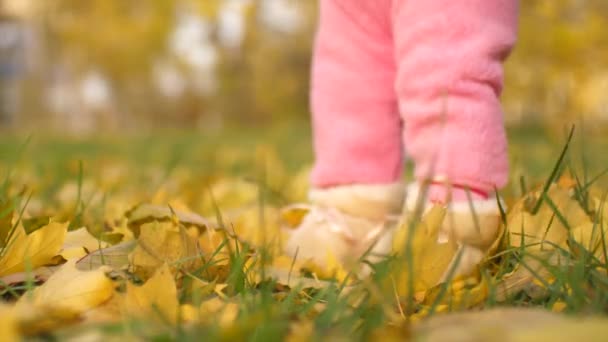 Feet of baby walk along autumn leaves. Slow motion. — Stock Video
