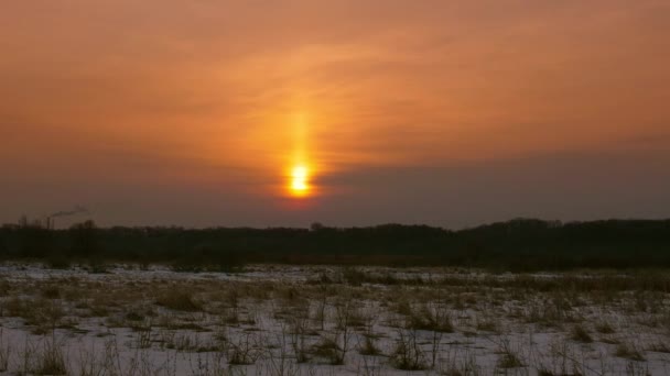 Восход солнца над зимним лесом, заводская труба курит — стоковое видео