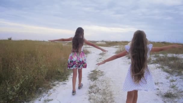 Chicas adolescentes corren a lo largo de la carretera extendiendo sus brazos como alas . — Vídeo de stock