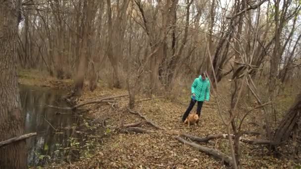 십 대 소녀는 연못 근처 사냥개와 throughpark를 산책 — 비디오
