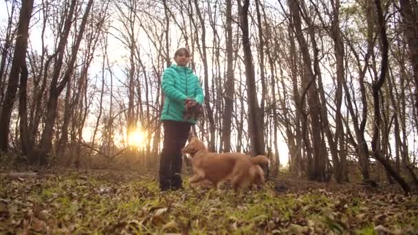 Ragazza adolescente con il suo cane vomitare foglie autunnali. Rallentatore . — Video Stock