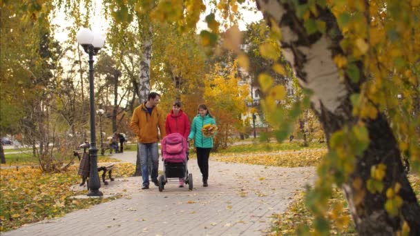 Bébé dans les bras de son père, avec sa mère et sa sœur, aller avec poussette sur la route du parc . — Video