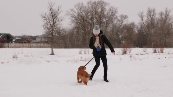 Vacker flicka leker med en hund i en winter park. Husdjur. — Stockvideo