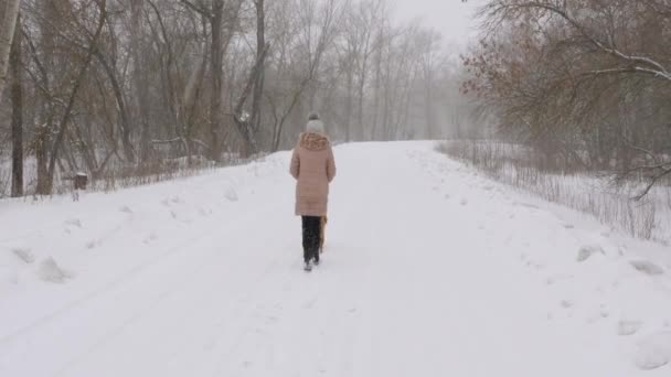 Kar fırtınası genç kız yürümek için favori köpeğiyle yürüyor. — Stok video