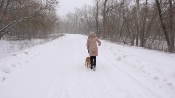 Дівчинка-підліток, біжить з собакою на засніженій дорозі, взимку, в снігопаді. Повільний рух . — стокове відео