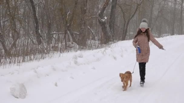 Chica y perro están corriendo a lo largo de carretera nevada, en invierno, en tormenta de nieve. Moción lenta . — Vídeos de Stock