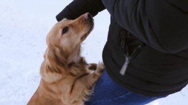 Sahibi köpek kafasına okşayarak.