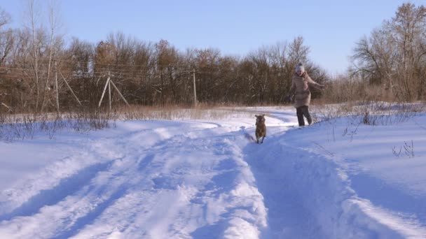 Glad tjej kör, på en snöig väg i en park med en hund. Slow Motion. — Stockvideo
