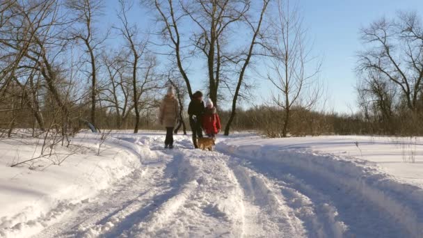 Küçük kız köpeğiyle karda oynarken — Stok video