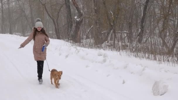 Ragazza felice con cane che corre lungo la strada nel parco, in forte bufera di neve e sorridente. Sta nevicando. Rallentatore . — Video Stock