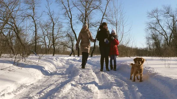 Küçük kız köpeğiyle karda oynarken — Stok fotoğraf