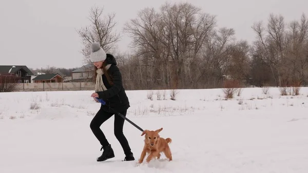 Schöne Frau spielt mit einem Hund durch den Wald, im Winter, ganz in weißem Schnee und Bäumen. — Stockfoto