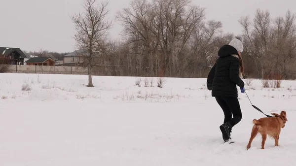 Hermosa mujer niña jugando con un perro paseando por el bosque, en invierno, todo en nieve blanca y árboles . — Foto de Stock