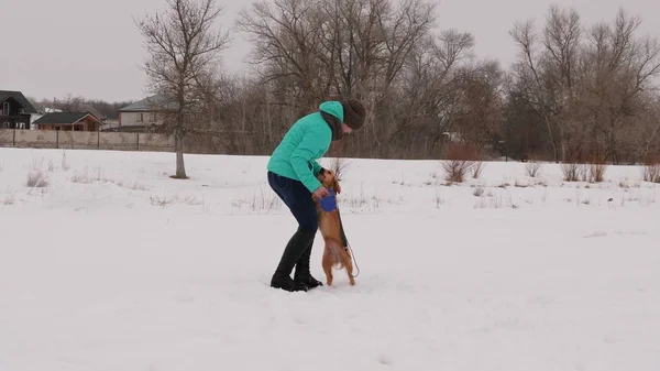 Hermosa mujer está sosteniendo a su perro con correa jugando con su invierno en el parque de nieve . — Foto de Stock