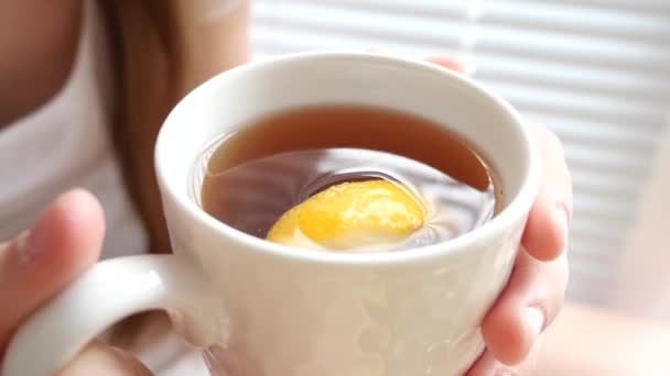 Schöne Mädchen trinkt Tee mit Zitrone sitzt auf Fensterbank am Fenster. — Stockvideo