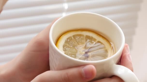 Cold girl drinks hot golden tea with lemon standing by window. — Stock Video