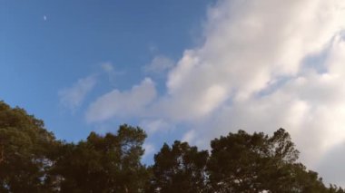 bulutlar gökyüzünde hızlı orman uçmak.