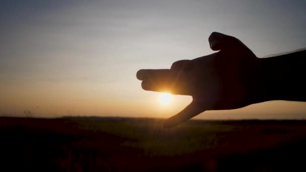 La mano crea la silueta del perro al atardecer. Movimiento lento . — Vídeo de stock